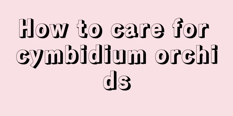 How to care for cymbidium orchids