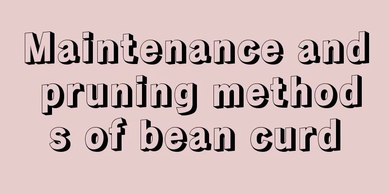 Maintenance and pruning methods of bean curd