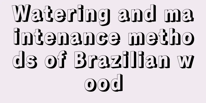 Watering and maintenance methods of Brazilian wood