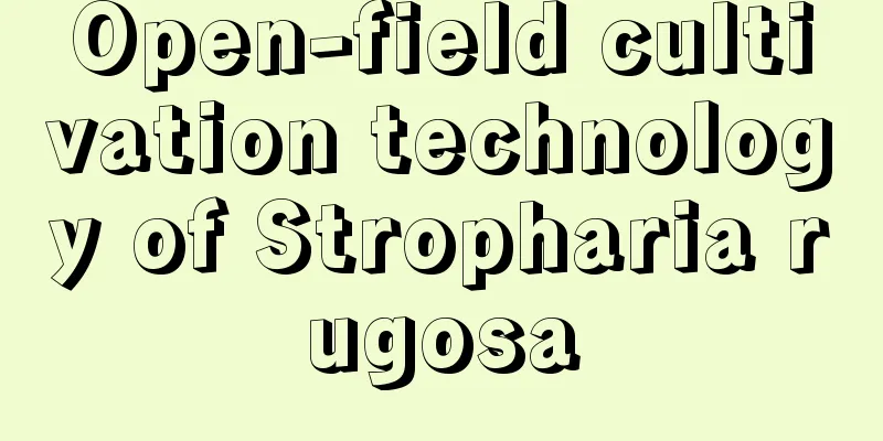 Open-field cultivation technology of Stropharia rugosa