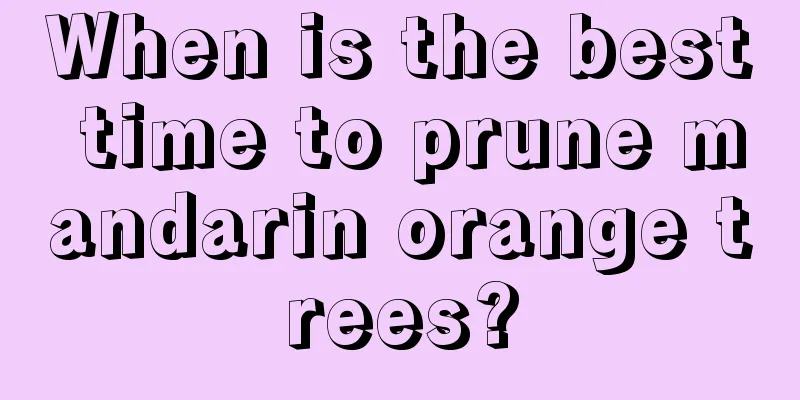 When is the best time to prune mandarin orange trees?