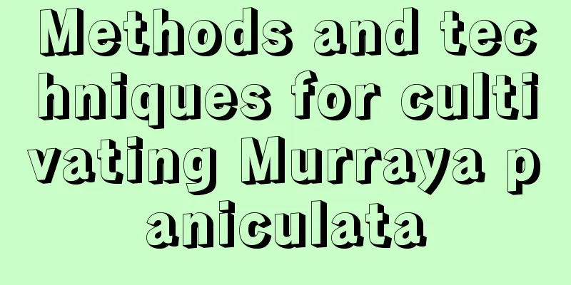 Methods and techniques for cultivating Murraya paniculata