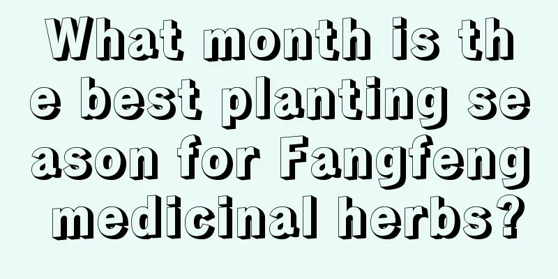 What month is the best planting season for Fangfeng medicinal herbs?