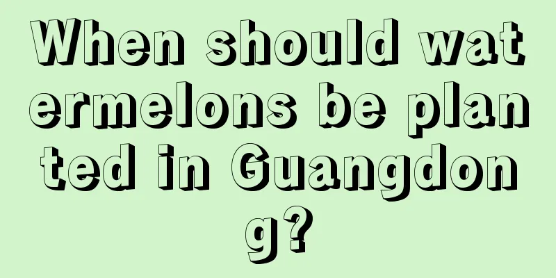 When should watermelons be planted in Guangdong?