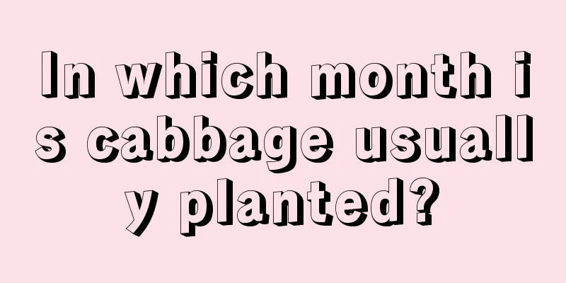 In which month is cabbage usually planted?