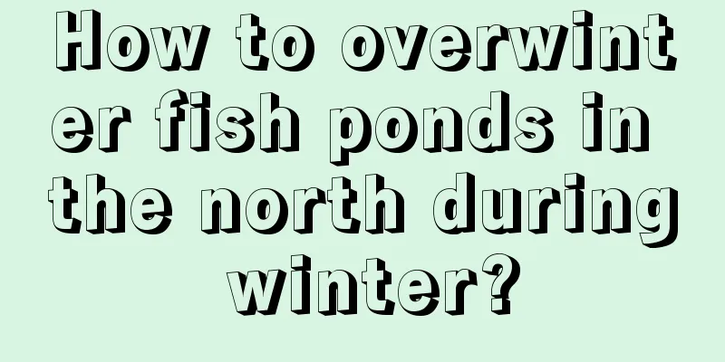 How to overwinter fish ponds in the north during winter?