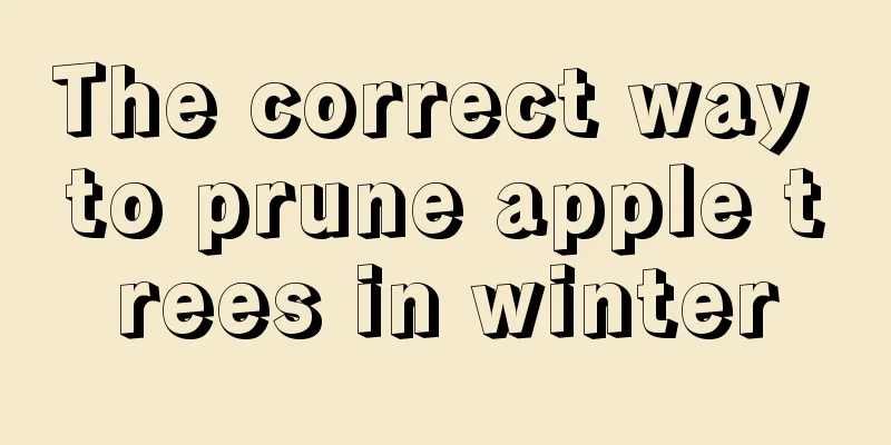 The correct way to prune apple trees in winter