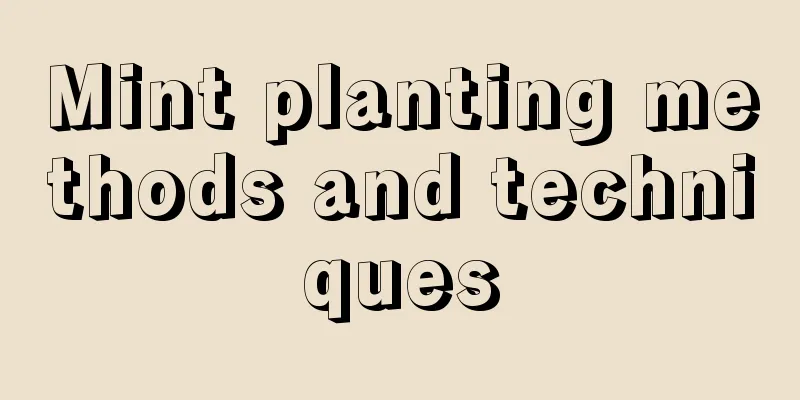 Mint planting methods and techniques