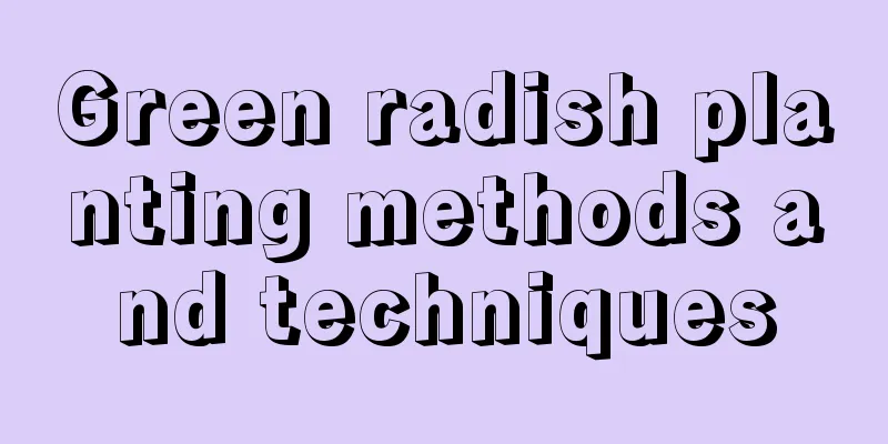 Green radish planting methods and techniques