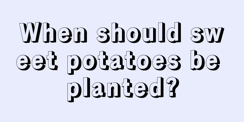 When should sweet potatoes be planted?