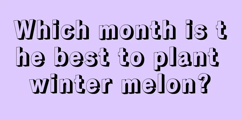 Which month is the best to plant winter melon?