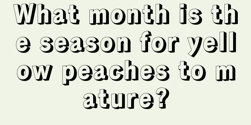 What month is the season for yellow peaches to mature?