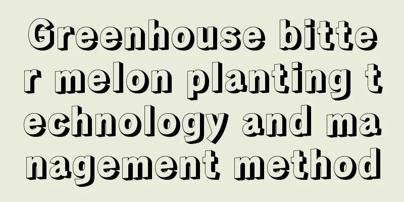 Greenhouse bitter melon planting technology and management method