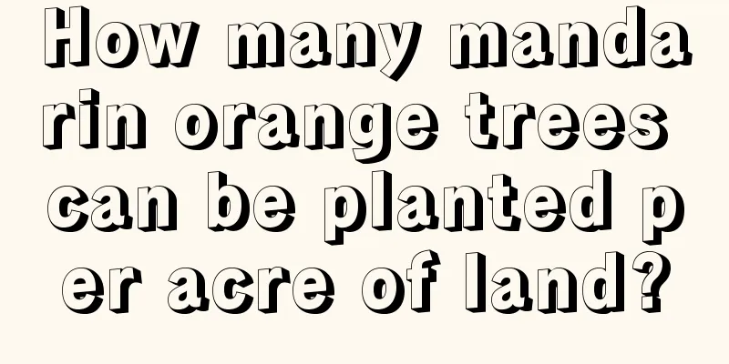 How many mandarin orange trees can be planted per acre of land?