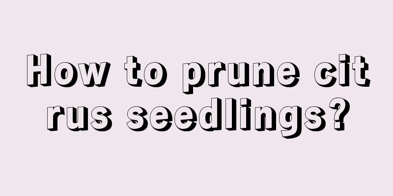 How to prune citrus seedlings?