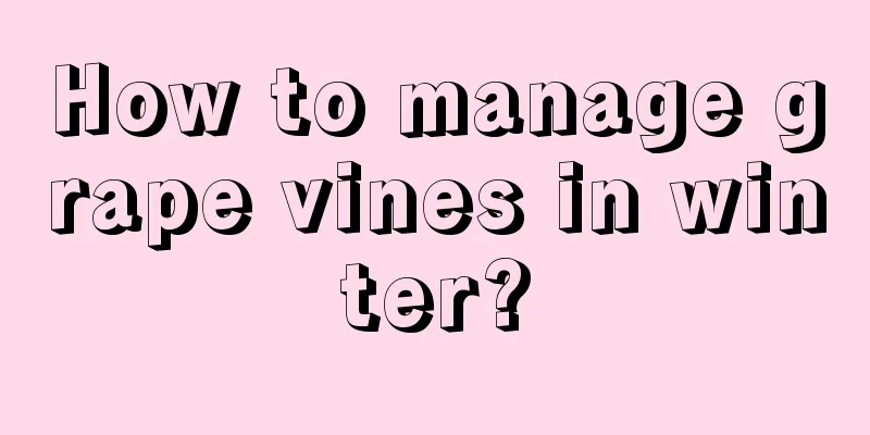 How to manage grape vines in winter?