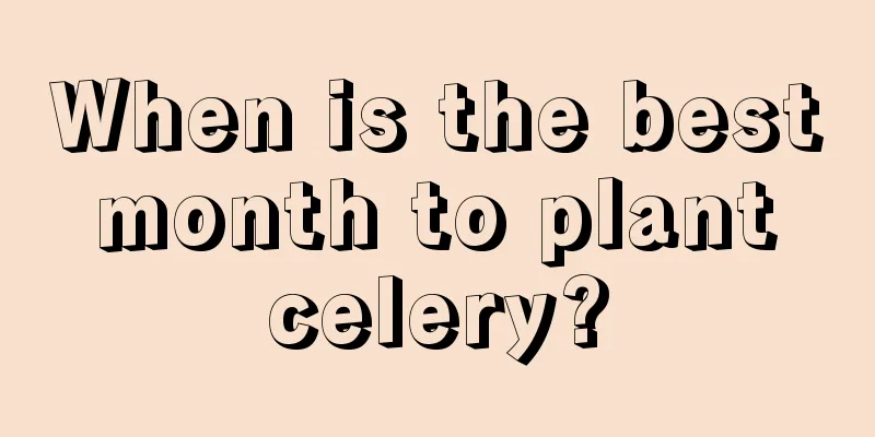 When is the best month to plant celery?