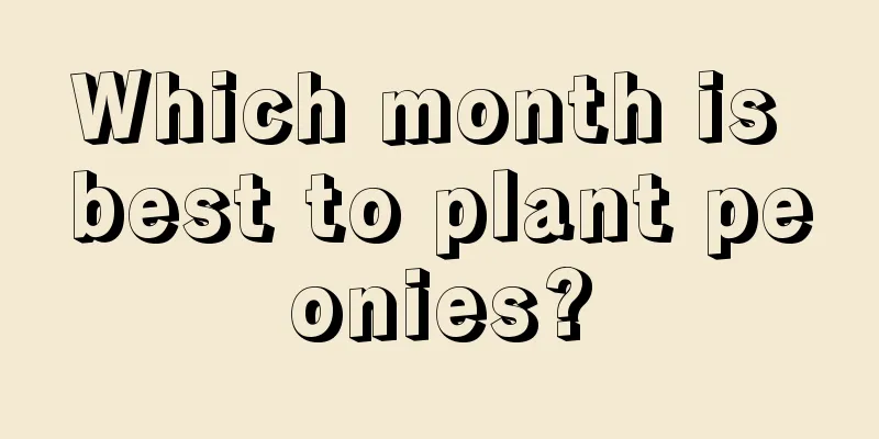 Which month is best to plant peonies?