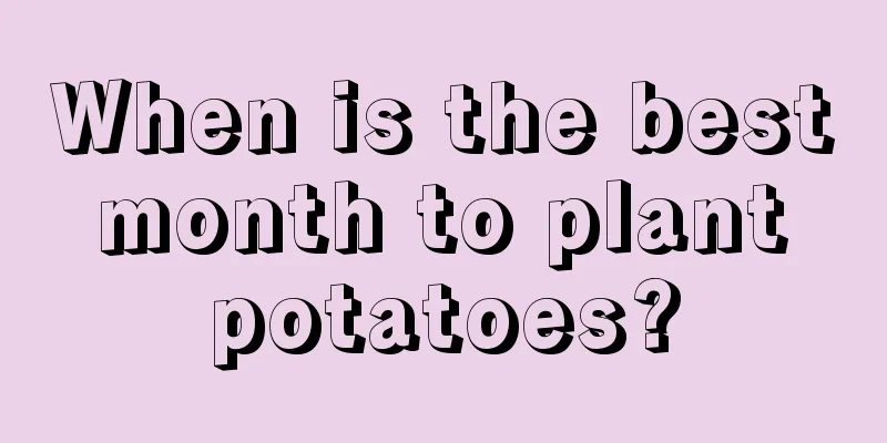 When is the best month to plant potatoes?