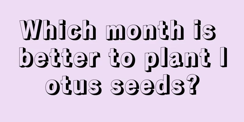 Which month is better to plant lotus seeds?