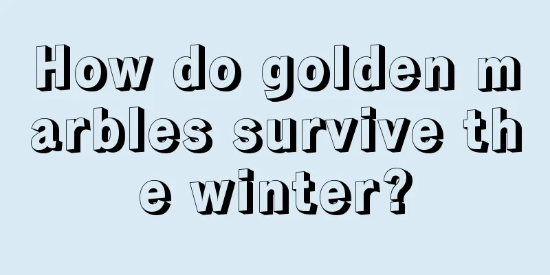 How do golden marbles survive the winter?