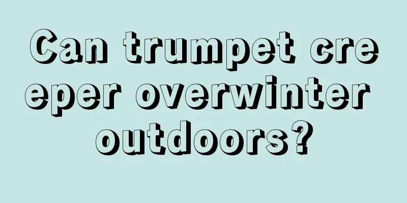 Can trumpet creeper overwinter outdoors?