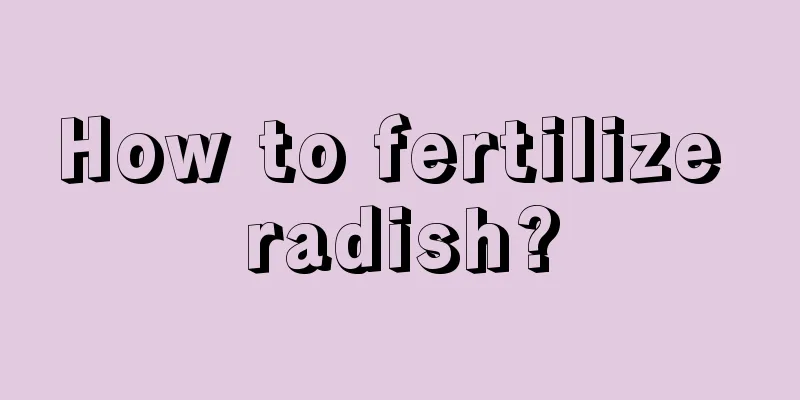 How to fertilize radish?