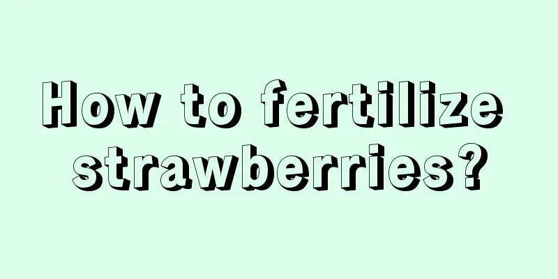 How to fertilize strawberries?