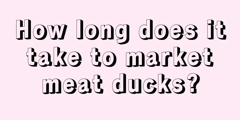 How long does it take to market meat ducks?