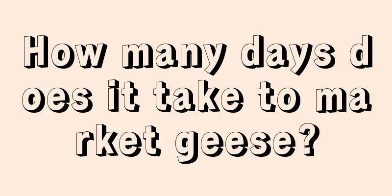 How many days does it take to market geese?