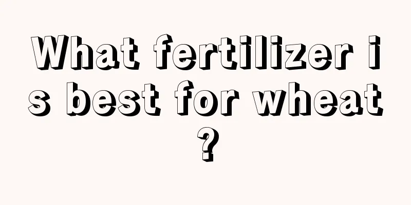 What fertilizer is best for wheat?