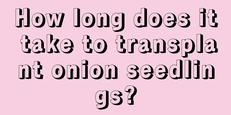 How long does it take to transplant onion seedlings?