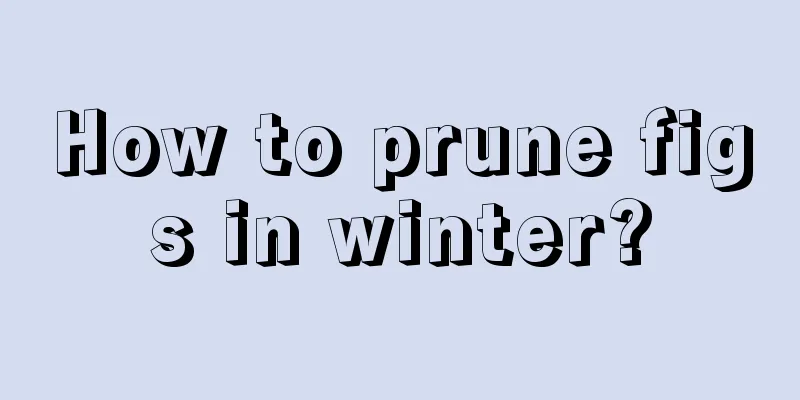 How to prune figs in winter?