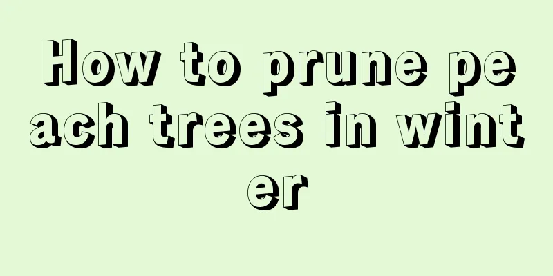 How to prune peach trees in winter