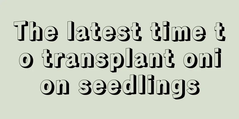 The latest time to transplant onion seedlings