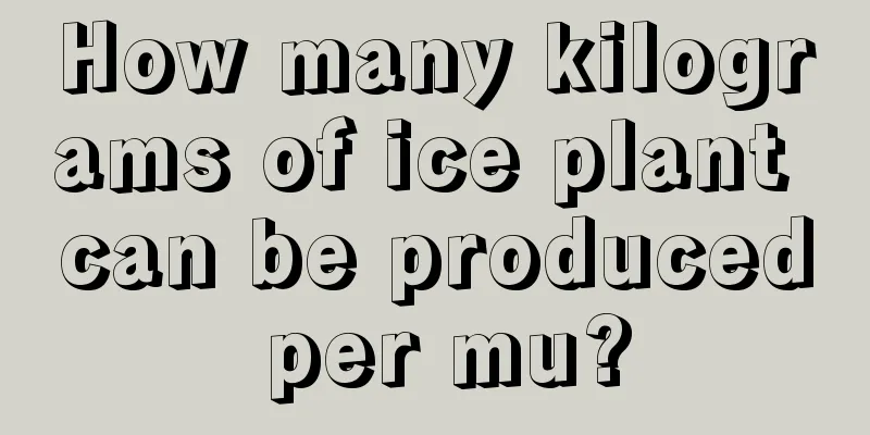 How many kilograms of ice plant can be produced per mu?