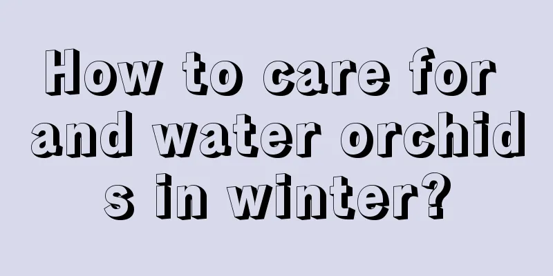 How to care for and water orchids in winter?