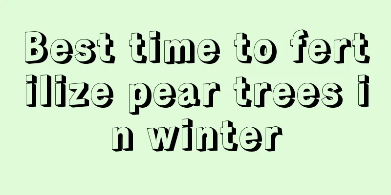 Best time to fertilize pear trees in winter