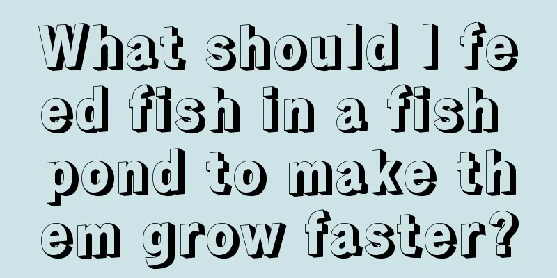 What should I feed fish in a fish pond to make them grow faster?