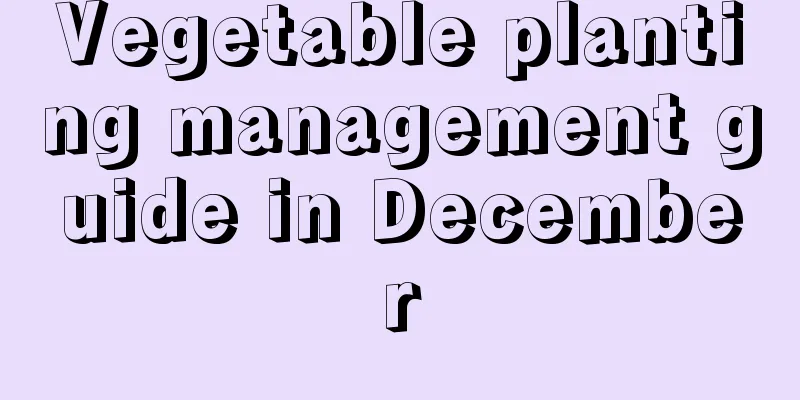 Vegetable planting management guide in December