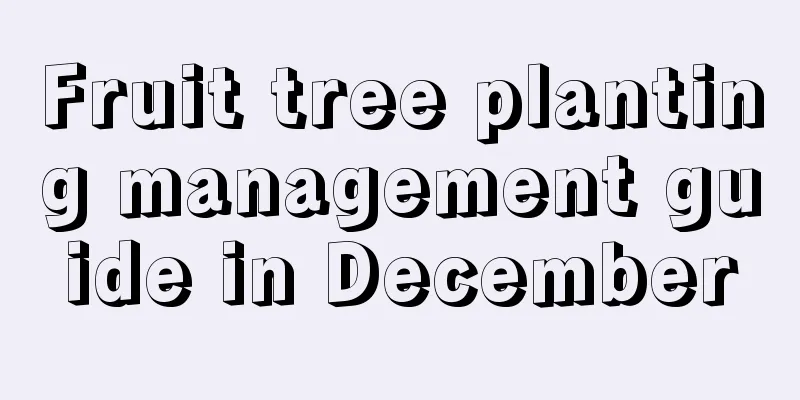 Fruit tree planting management guide in December