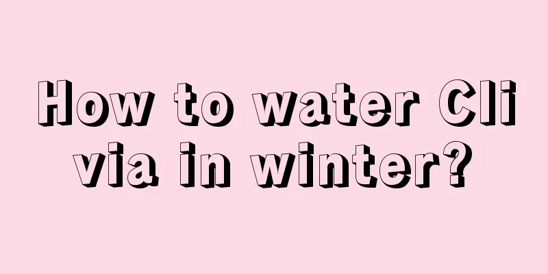 How to water Clivia in winter?