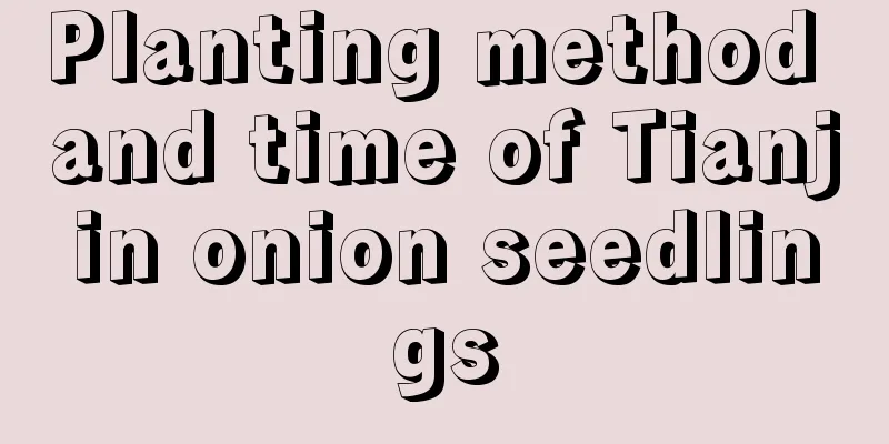 Planting method and time of Tianjin onion seedlings