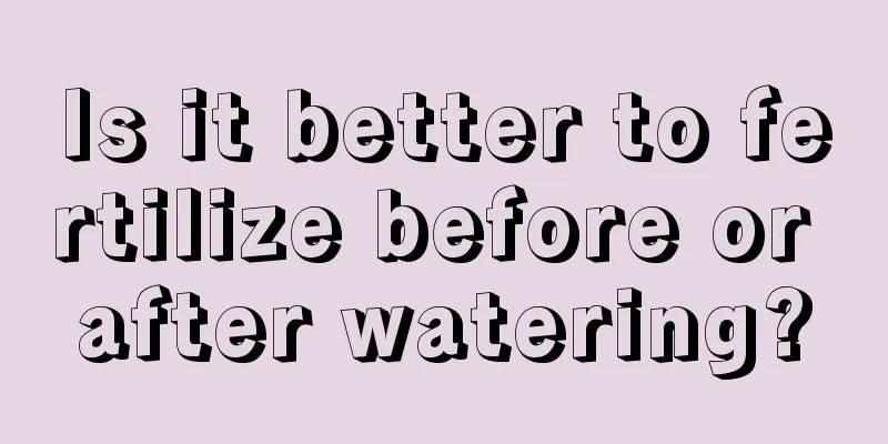 Is it better to fertilize before or after watering?