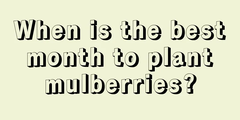 When is the best month to plant mulberries?