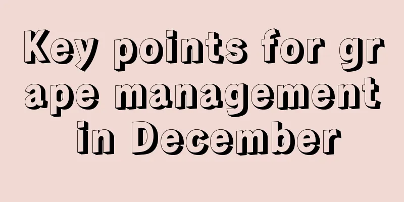 Key points for grape management in December