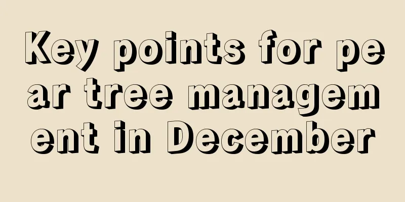 Key points for pear tree management in December