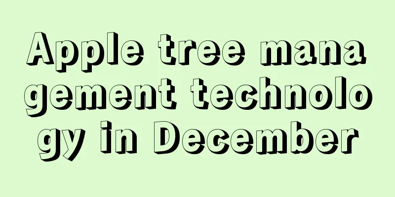 Apple tree management technology in December