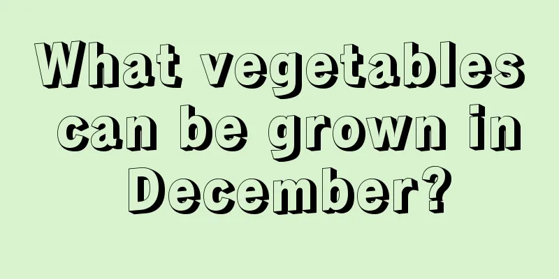 What vegetables can be grown in December?