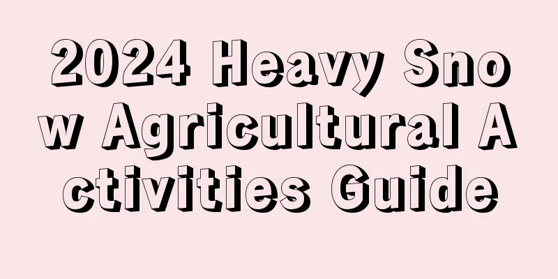 2024 Heavy Snow Agricultural Activities Guide